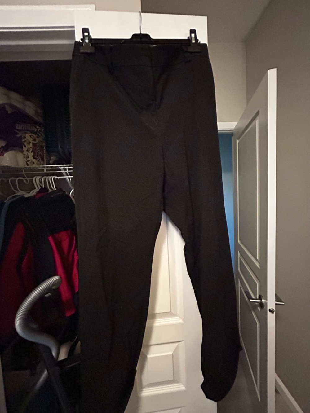 Women's Dress Pants - Classic Straight Leg